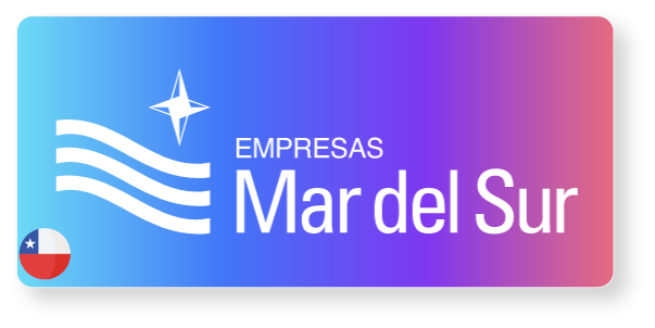 Logo mar del Sur